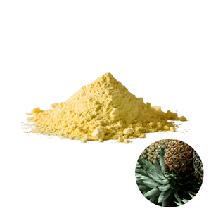 Poudre de peau d'ananas de qualité supérieure, fabriquée au Vietnam, prix de gros, emballée en sacs de différentes tailles, best-seller. - Product Image 1