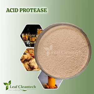 Vente en gros de poudre d'enzyme alimentaire de qualité supérieure à protéase acide du fabricant indien de Bangalore Karnataka pour la nutrition - Product Image 2