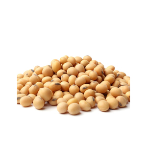 Soja amarilla de calidad estándar, la más vendida, sin OMG, con buenos nutrientes, a precio de fabricante, procedente de la India. - Product Image 1