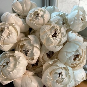 VADEE SOLA WOOD FLOWER Bouquet de pivoines artificielles en bois de Sola blanc, artisanat durable fait main, décorations pour mariage et maison - Product Image 5