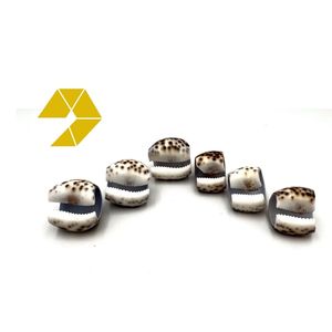 Anillo para Servilletas con Diseño de Concha de Mar y Puntos de Leopardo, con Detalles de Coral, Estilo Vintage, Accesorio Decorativo para Mesa, Ideal para Fiestas Reales, Buen Precio, Venta al por Menor - Product Image 6