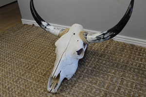 Handsome Hand Carved Hanging or Standing Buffalo Bull Head <b>Skull</b> Horn for Wall <b>Decor</b> - Product Image 3