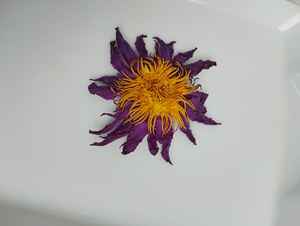 Flores de Loto Azul Secas de Sri Lanka (Flores Reales), Naturales, Ecológicas, para Uso Medicinal, Bebida de Hojas - Product Image 3