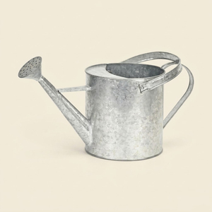 High-Quality Steel Watering Can With Long Spout And Removable Rosehead For Decorative Home <b>Gardening</b> Indoor And Outdoor Plants - Product Image 2