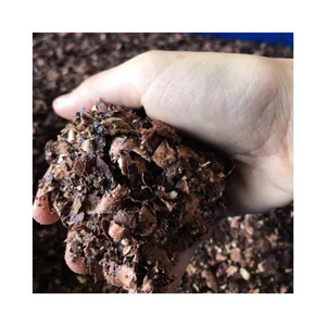 VIGI FARM เปลือกเม็ดมะม่วงหิมพานต์ธรรมชาติ อุดมด้วยแทนนิน เกรดอุตสาหกรรม คุณภาพพรีเมียม สำหรับการสกัด ขายส่งจำนวนมากจากเวียดนาม - Product Image 1