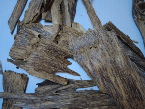 Oud Lao Ant de Alta Calidad, Forma COSMIC, Origen Vietnam - Product Image 1