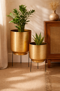 Gold Planter S/2 Powder Coated Durable Multi-Purpose Outdoor & Indoor Floor Planter with Drainage - Product Image 4