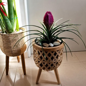 Premium Rattan Planter Suitable For Indoor Outdoor Plants Boho Home Decor And Stylish Woven <b>Pot</b> <b>Holder</b> Wholesale From India - Product Image 3
