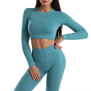 Conjunto de Yoga sin Costuras de 2 Piezas, Top Corto de Cintura Alta, Leggings Largos, Color Sólido, Cuello Redondo, Manga Larga, Ropa Deportiva para Mujer - Product Image 5