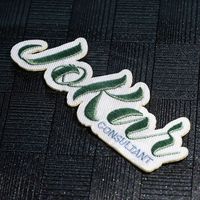 Parches Bordados Personalizados Termoadhesivos y Cosidos de Lona, con Diseños de Bandera Deportiva Grande, Dibujos Animados, Animales y Tejidos 3D, para Chaquetas