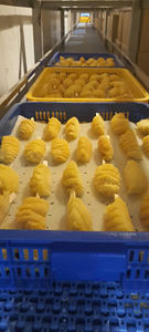 Purée d'ananas surgelée de qualité supérieure, Vietnam 99 Gold Data, pour smoothies, jus et conservation de l'eau de fruits tropicaux, en vrac - Product Image 2