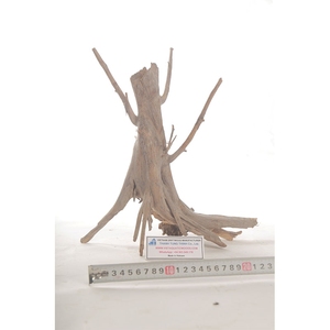 Decoración de Acuario de Madera Natural, Forma Irregular, Adorno Ecológico para Pecera, Hecho en Vietnam - Product Image 1
