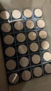 ハディースが感情のためのギフトボックスを読むとき、卸売ファッショナブルな室内装飾イスラム教の斬新な瓶コーラン詩 - Product Image 6