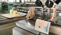 Nouvelle Agrafeuse Semi-Automatique avec Système de Quatre Têtes d'Agrafage Extensibles pour Reliure 1 ou 2 Feuilles, Garantie 1 An