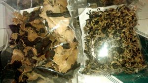 Cultivé vietnamien naturel séché bois oreille champignon sain végétalien nourriture et cuisson assaisonné bouchon traité - Product Image 6