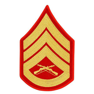 Insignia Profesional Chevron para Uniforme: Chevron de Mandato y Ejecución Coordinada, Chevron de Nominación, Chevron en Venta - Product Image 4