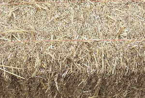 Paja de Trigo Ecológica de Alta Calidad para Alimentación Animal en Pacas Comprimidas para Exportación B2B a Oriente Medio, África y Asia - Product Image 2