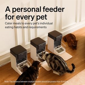 Timed Automatic <b>Cat</b> <b>Feeders</b> - 4L Programmable Dry Food Dispenser for <b>Cats</b> and Small Medium Dogs 6 Meals - Product Image 2
