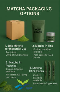 HGO Factory Direct Supply of Pure Natural <b>Matcha</b> Powder (Food Grade) Specification 6A Herbal powder (Fruit OR Vegetable Powder) - Product Image 4