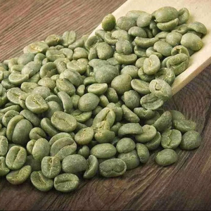 100% Natural Organic Arabica Green <b>Coffee</b> <b>Beans</b> Size 16, USDA Certification, 0.1% Broken & Black only, Vietnam Direct Supplier - Product Image 1