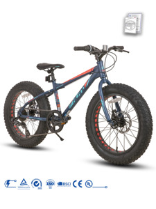 Vélo pour enfants JOYKIE HILAND 20 pouces, pneus larges de 4,0 pouces, freins à disque mécaniques à 7 vitesses, acier à haute résistance, poignées TPR, 90% SKD, vélo en gros - Product Image 1