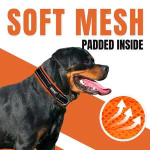 Premium Soft Padded Dog <b>Collar</b> OEM ODM Custom Logo Adjustable Reflective Pet <b>Collar</b> Direct Manufacturer - Product Image 3