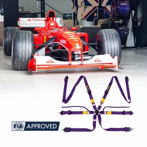 Professional Factory Racing Harness Seat Belt FIA Approved 8853 2016 TBRACING OEM ODM Private Label Custom Logo Supply Polyester - Product Image 1