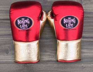 Gants de boxe MMA Sanda en cuir de vachette de qualité supérieure, sans couture, pour l'entraînement aux arts martiaux, personnalisables, à lacets extensibles, vente en gros - Product Image 5