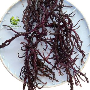Natural Dried Cottonii Sea Moss Eucheuma Cottonii Food Cosmetic High Quality Seaweed Bulk Export Vietnam Supplier - Product Image 1