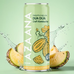 Boisson de type Kombucha au goût melon et ananas, fabrication OEM, marque personnalisée, approvisionnement en vrac, fabricant d'usine - Product Image 1