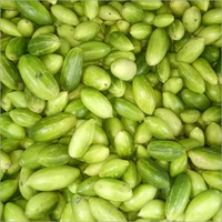 Exportation de courges vertes pointues fraîches de qualité supérieure du Bangladesh