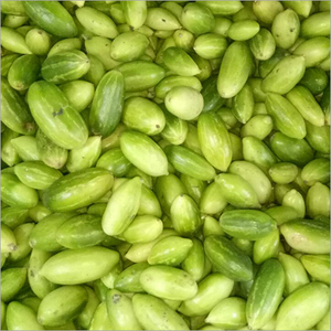 Exportation de courges vertes pointues fraîches de qualité supérieure du Bangladesh - Product Image 1