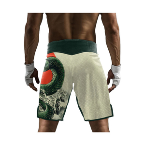 Shorts MMA pour hommes avec impression sublimée, shorts de grappling UFC, vêtements d'arts martiaux, shorts de boxe, shorts MMA - Product Image 5
