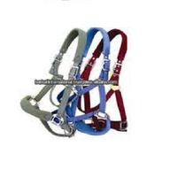 Cheval Halter En Argentine Polo Design