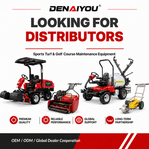 DENAIYOU Falciatrice Rotante Semovente da 1000mm con Rullo Posteriore e Raccoglierba per Campi Sportivi - Prezzo di Deposito - Product Image 5