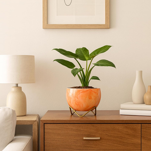Macetas Decorativas de Mármol Naranja para Mesa, Macetas Pequeñas para Interiores, para Suculentas, Cactus, Plantas Verdes Pequeñas, Decoración del Hogar - Product Image 3