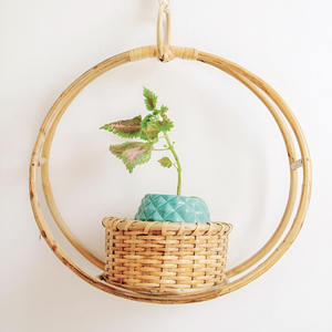 Macetas colgantes de ratán, macetero de jardín, soporte para plantas, precio directo de proveedor, decoración con plantas - Product Image 3