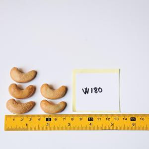 Custom Packaging W180 Roasted Cashew <b>Nuts</b> Vietnam Factory Direct Supply Buttery Salty Flavor Oval Gift Box 400g Premium Organic - Product Image 4
