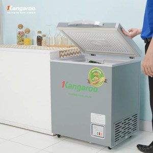 Congélateur coffre simple/double compartiment fabriqué au Vietnam, capacités 90L/140L/286L/375L, électrique, pour usage commercial/domestique - Product Image 4