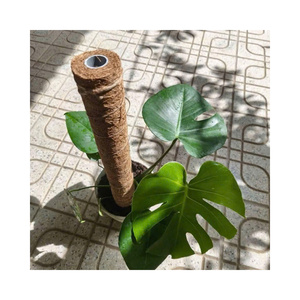 Soporte flexible para plantas de coco - Poste de musgo flexible hecho a mano para plantas de interior en maceta como Monstera y Pothos - Product Image 1