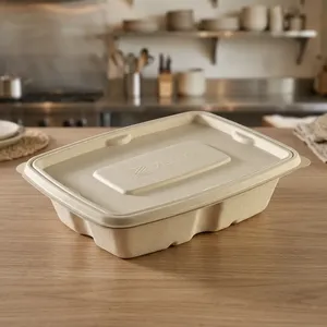 Eco Friendly Disposable 500ml Rectangle <b>Pulp</b> Moulded Food Container Lightweight Water Resistant Compostable Takeaway Box - Product Image 2