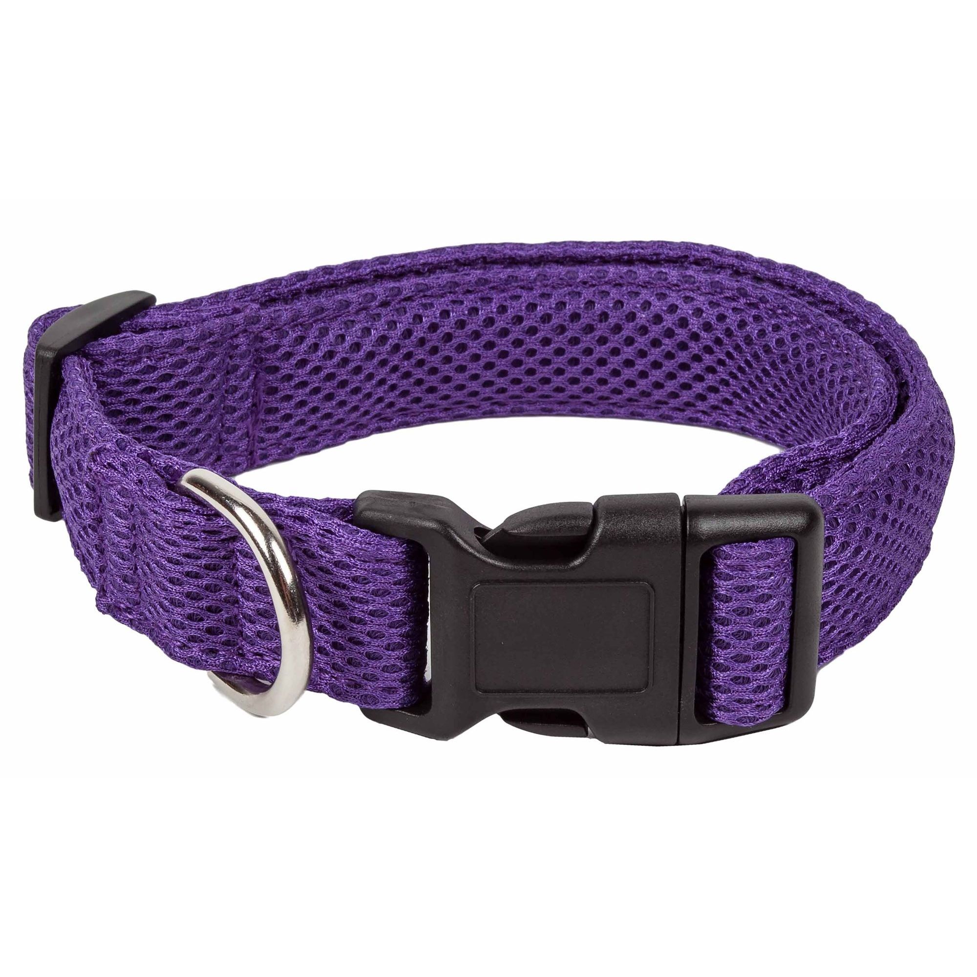Purple Color