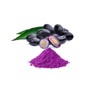 Poudre de Jamun lyophilisée SHUBHALAXMII FOOD INDUSTRY FD, goût sucré, saine, durée de conservation de 2 ans, emballage en vrac personnalisé, Maharashtra - Product Image 1