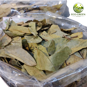 ชาใบเต้าร้อยปีกแห้งพรีเมียม ชาสมุนไพรอันโนน่า มูริคาตา ชาใบหลวมออร์แกนิกธรรมชาติเพื่อสุขภาพ ขายส่ง - Product Image 6