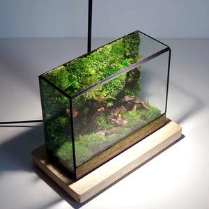 Terrarium en verre moderne avec base en bois, pot décoratif d'intérieur pour la maison, le bureau, la table de café et un intérieur élégant, provenant d'Inde. - Product Image 1