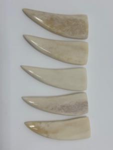 Colgantes de Hueso Natural Pulidos a Mano con Forma de Cuerno para Joyería Tribal, Accesorios DIY para Collares - Product Image 4