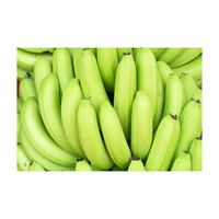 Mejor Precio, Plátanos Cavendish Verdes Frescos, Plátanos Cavendish Verdes Frescos de Alta Calidad