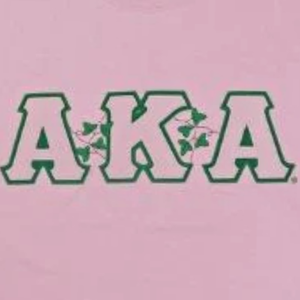 AKA Ivy Tee เสื้อยืดคอกลมสีชมพูพร้อมกราฟิกใบไอวี่สีเขียว เสื้อผ้าลำลองสำหรับผู้หญิง แฟชั่นประจำวัน - Product Image 6