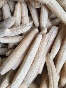 Loofah naturel biologique cultivé au Vietnam, 35-40 cm, entier, pour le corps, style simple, sans produits chimiques, pour le bain et la cuisine - Product Image 6