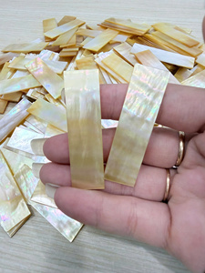 วัสดุเปลือกหอยธรรมชาติจากเวียดนามสำหรับงานไม้ เฟอร์นิเจอร์ ตกแต่ง เครื่องประดับ และงานฝีมือทำมือ - Product Image 4